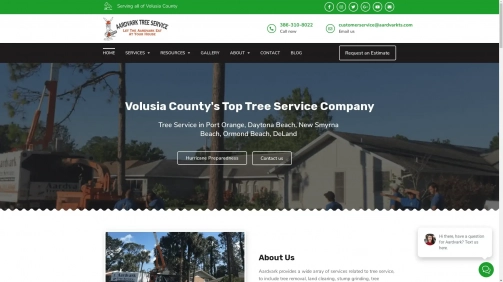 Tree Service in Port Orange, Daytona Beach, New Smyrna Beach, Ormond Beach