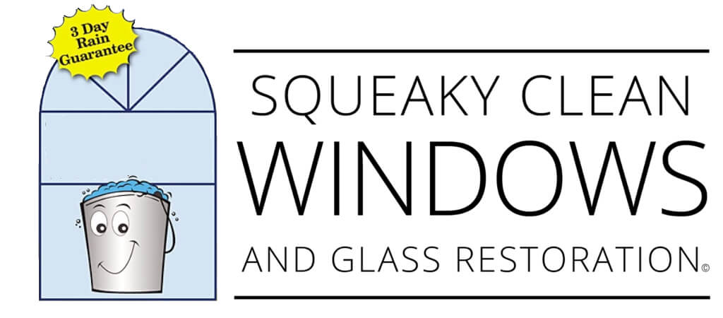 Squeaky Clean Windows